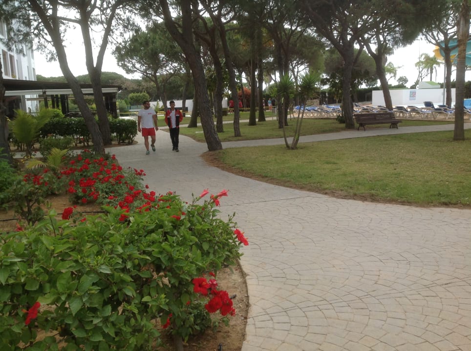 Gartenanlage Playacartaya Hotel