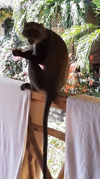 Sonstiges Neptune Palm Beach Boutique Resort & Spa