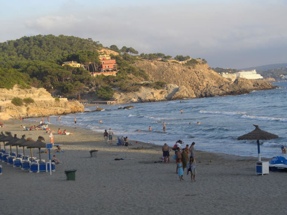 Strand von Paguera Mar Hotels Paguera & Spa