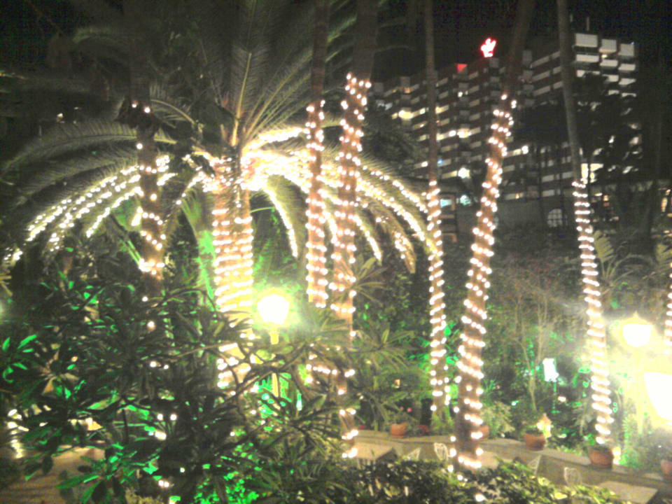 Garten bei Nacht  Hotel Parque Tropical