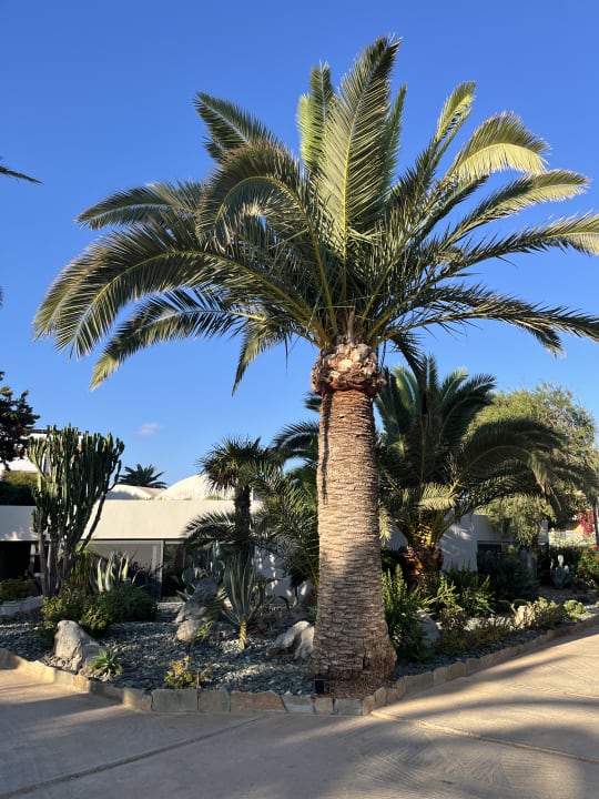 Ausblick Anissa Beach & Village