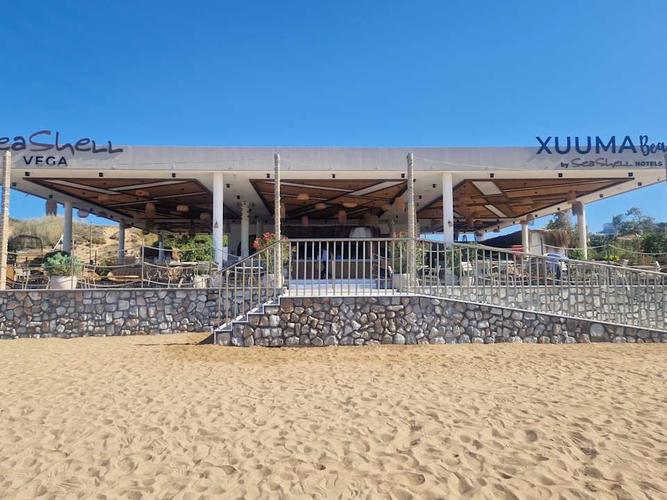 Strand Seashell Vega