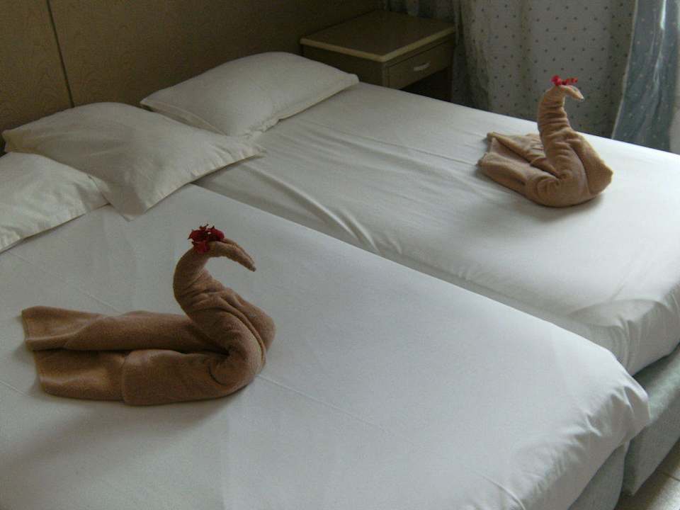 Schwäne Hotel El Mouradi Djerba Menzel