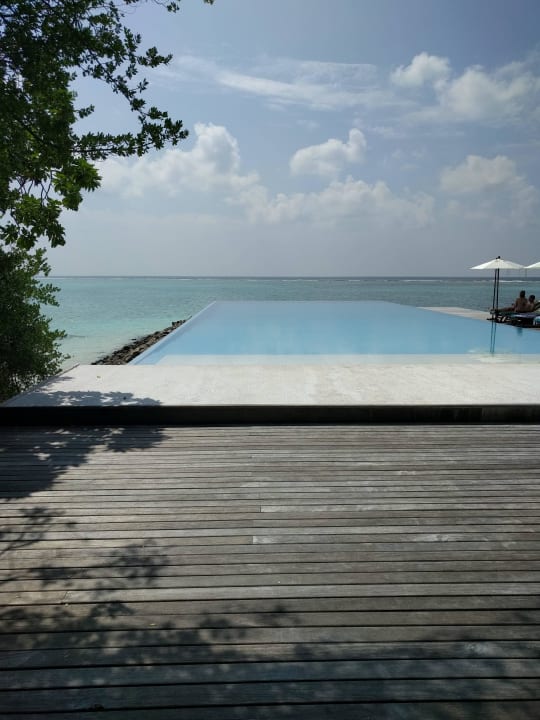 Pool Summer Island Maldives