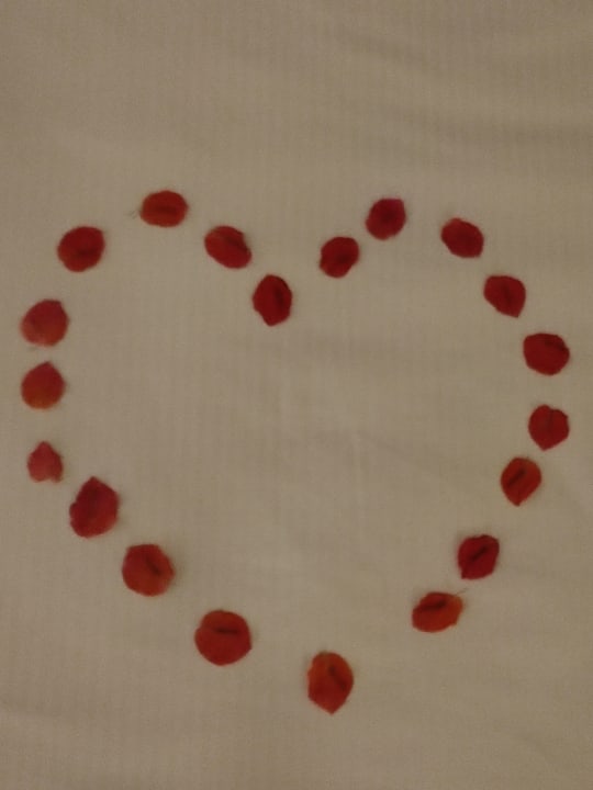 Zimmer DoubleTree by Hilton Resort & Spa Marjan Island