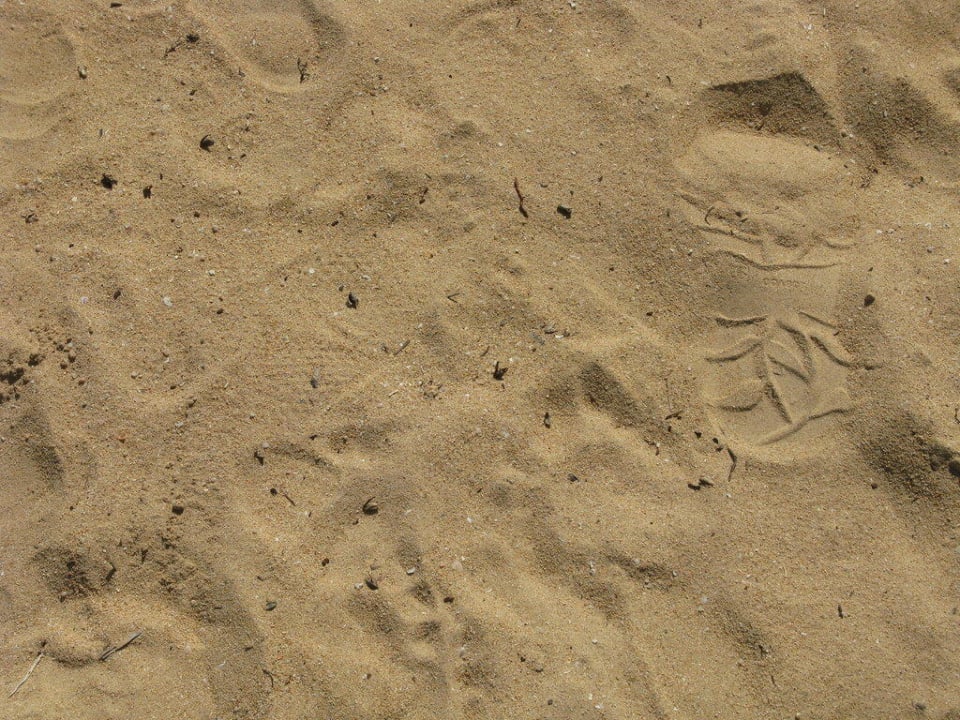 Der Sand am Strand Grand Sirenis Punta Cana Resort & Aquagames