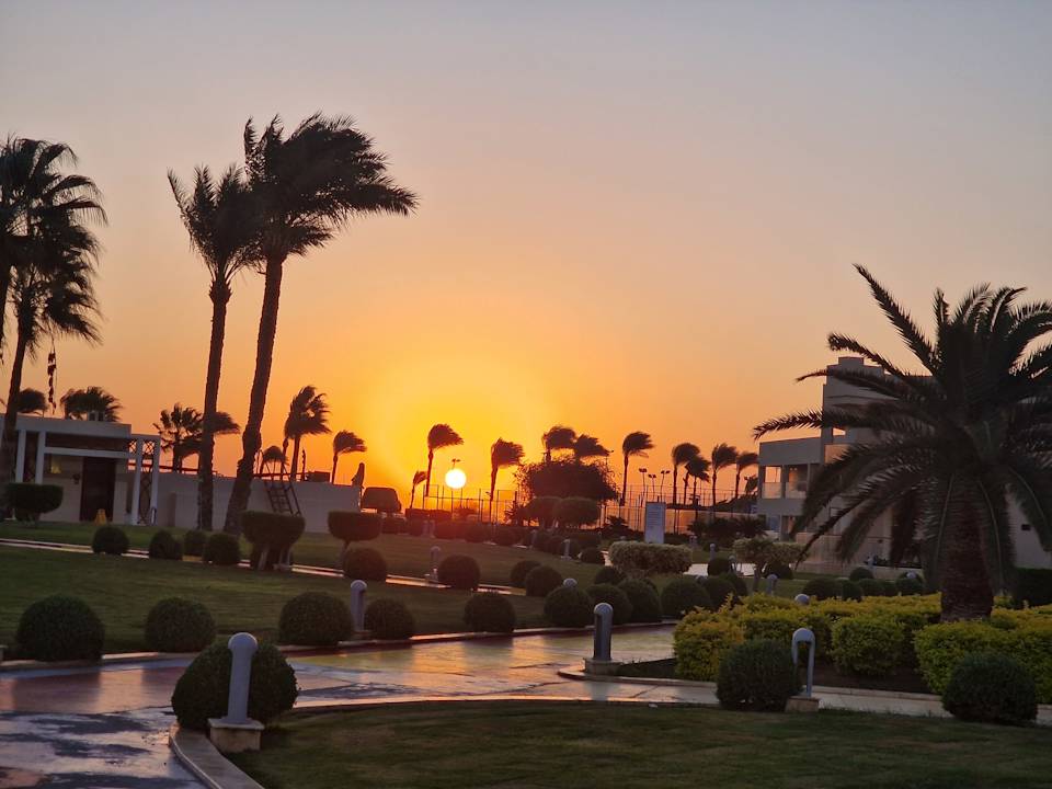 Strand Pickalbatros Royal Moderna Resort-Sharm El Sheikh