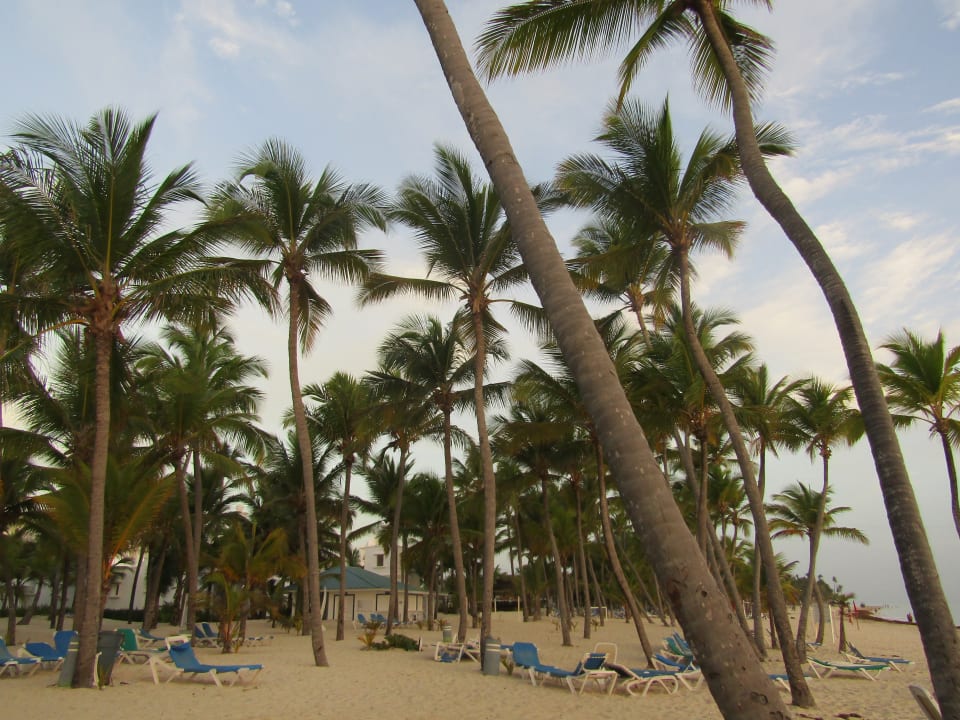 Strand Hotel Riu Bambu