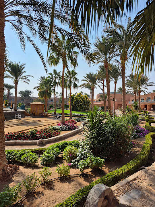 Gartenanlage Club Paradisio El Gouna, Red Sea