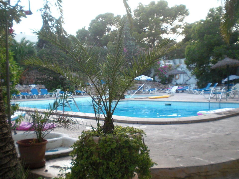 Pool des Rocador Grupotel Rocador