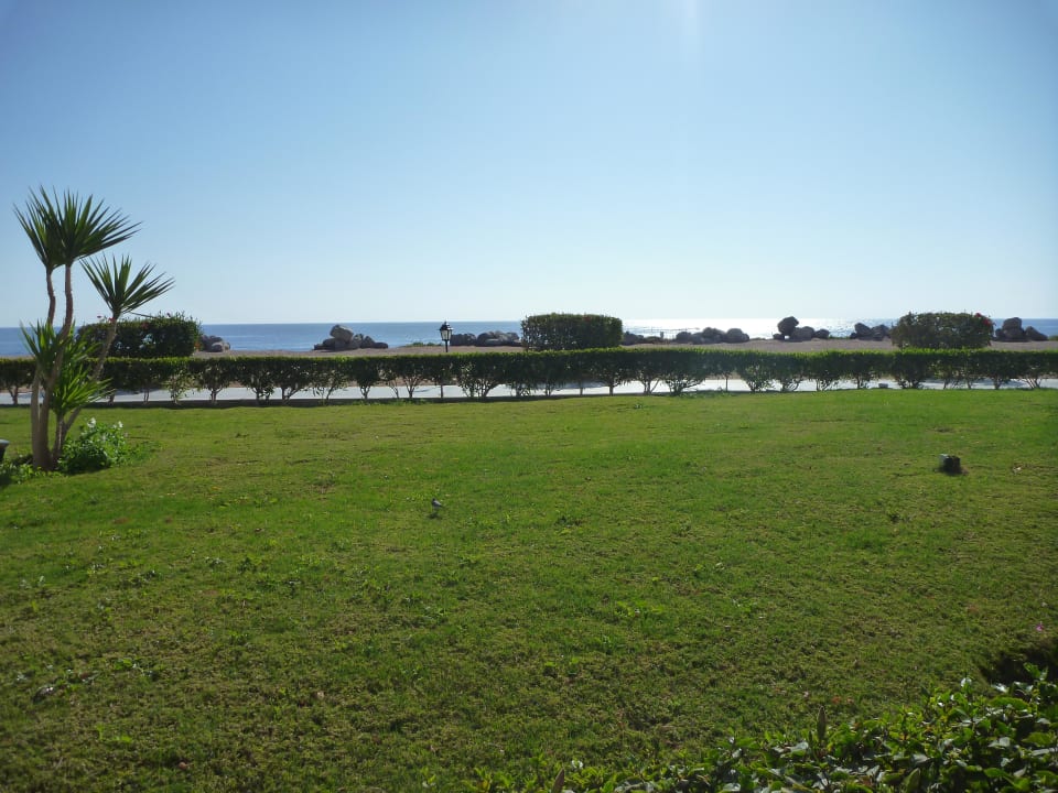 Ausblick vom Zimmer TUI MAGIC LIFE Kalawy