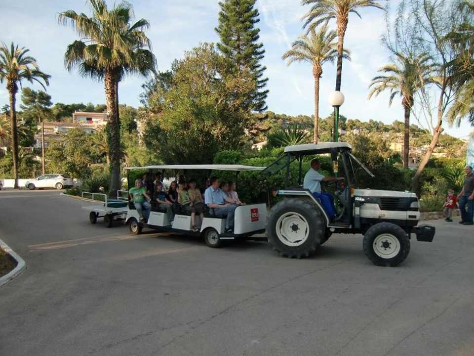 Die Bahn für die Fußkranken Flipflop Cala Romantica