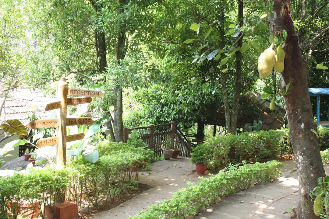 Super schön gelegen Kurumba Village Resort