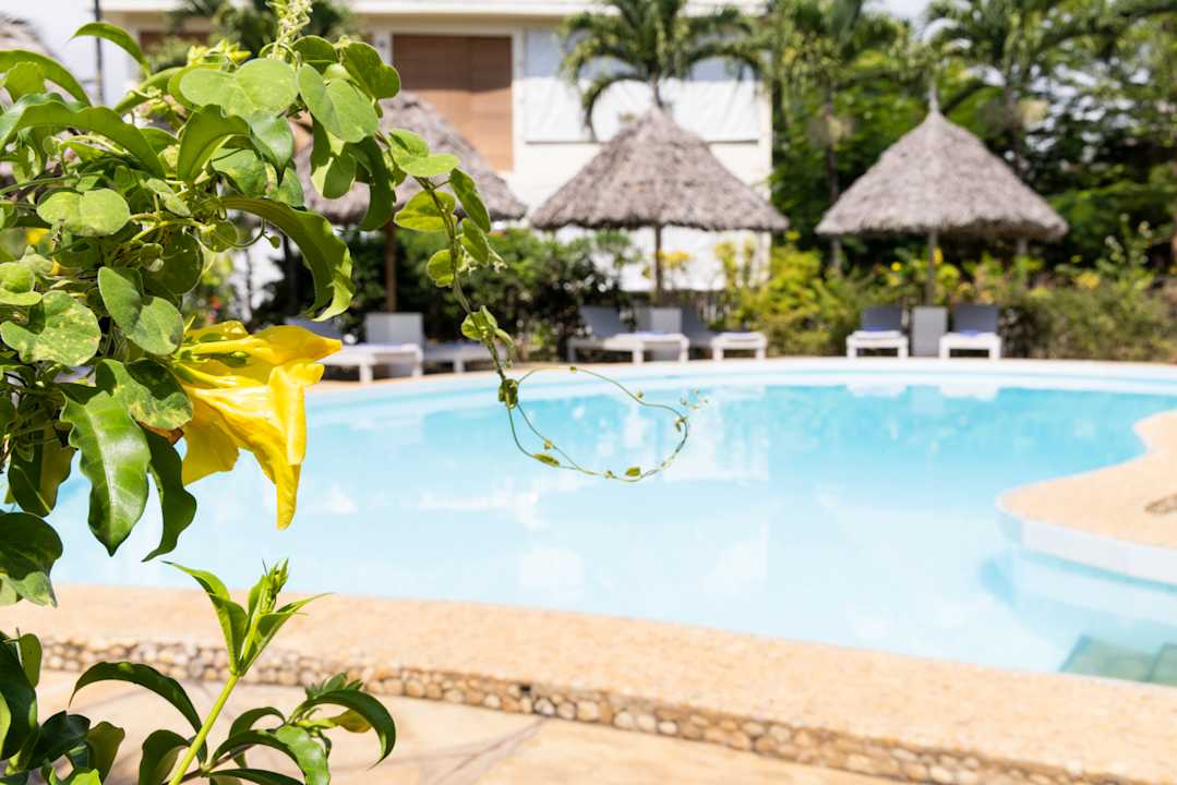 Pool Aestus Villas Resort