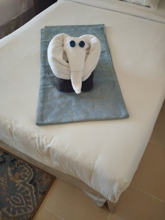 Zimmer Serenity Alpha Beach