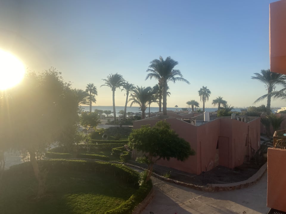 Ausblick Eagles Paradise Abu Soma
