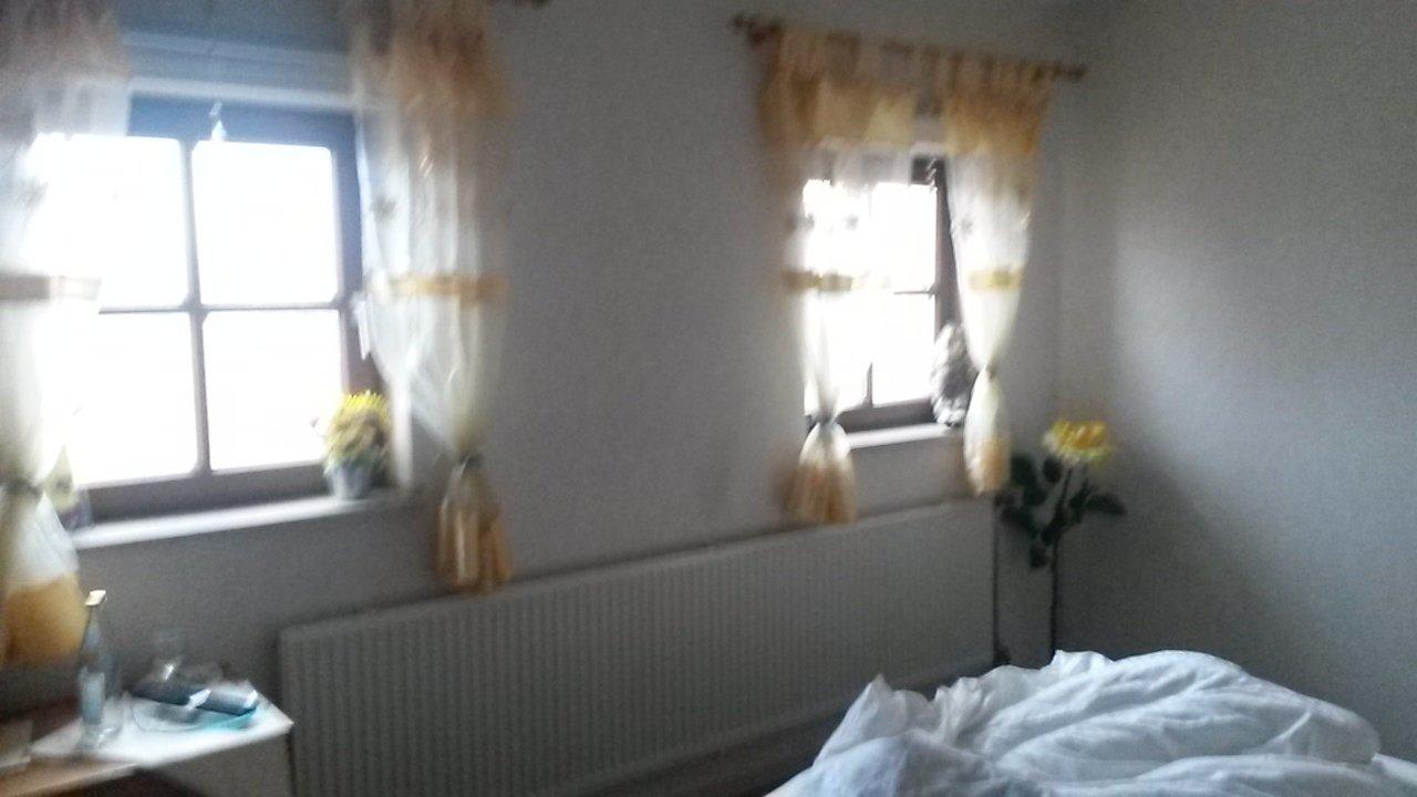 Fenster des Zimmers Hotel Wilder Mann