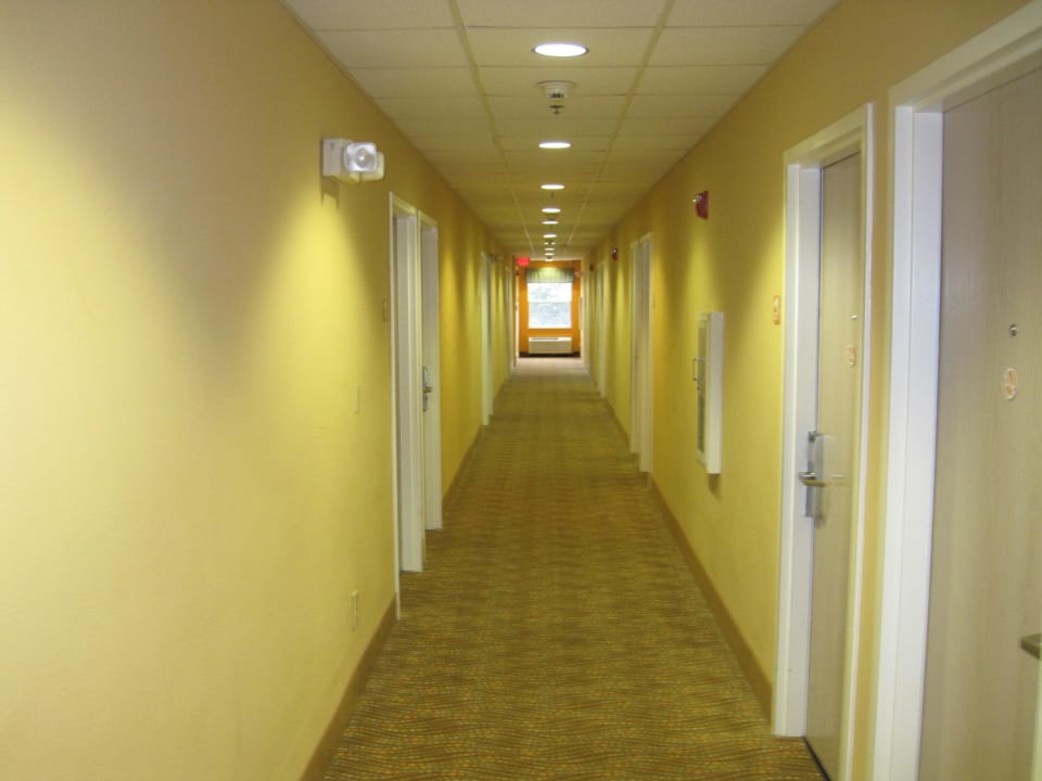 Flur Hotel Microtel Palm Coast