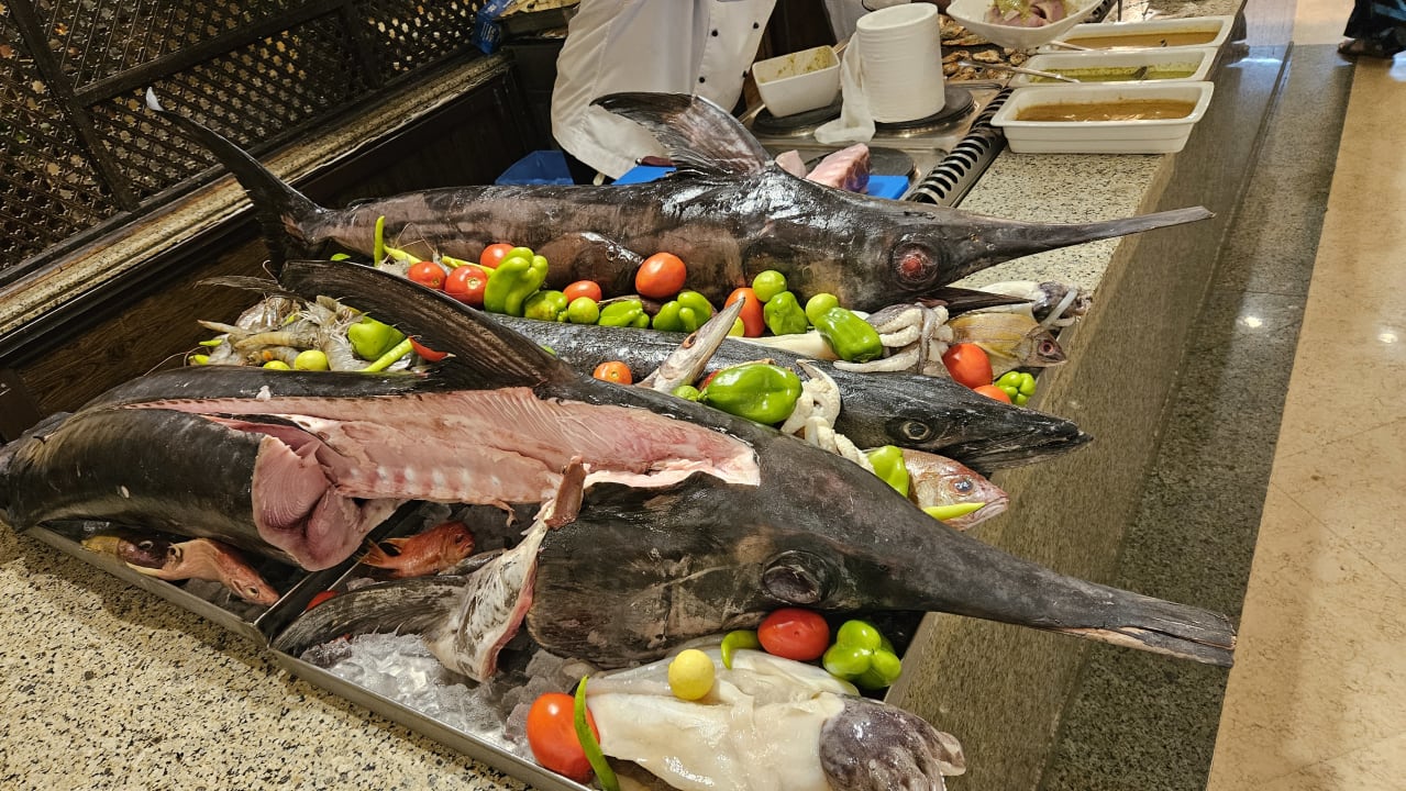 Gastro Hotel JAZ Makadi Star & Spa