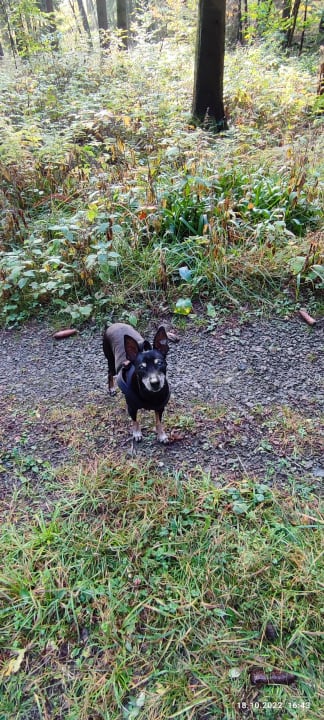Ausblick Berghotel Hoher Knochen