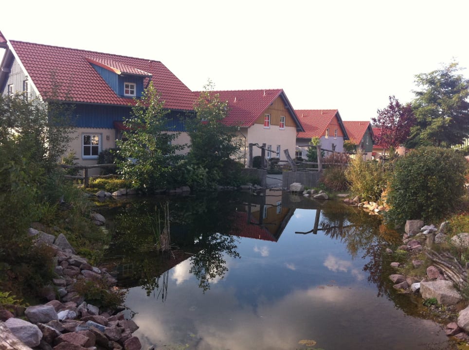 Blick vom Haus Hasseröder Ferienpark