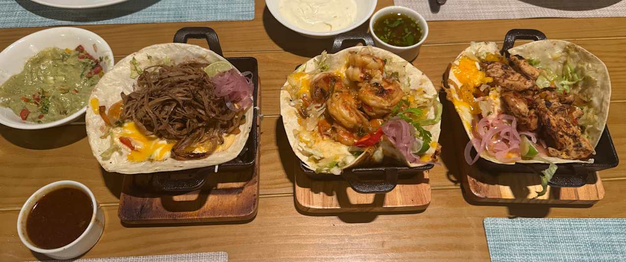 Gastro JAZ Elite Asteria