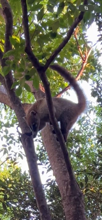 Gartenanlage Catalonia Royal Tulum Beach & Spa Resort - Adults only