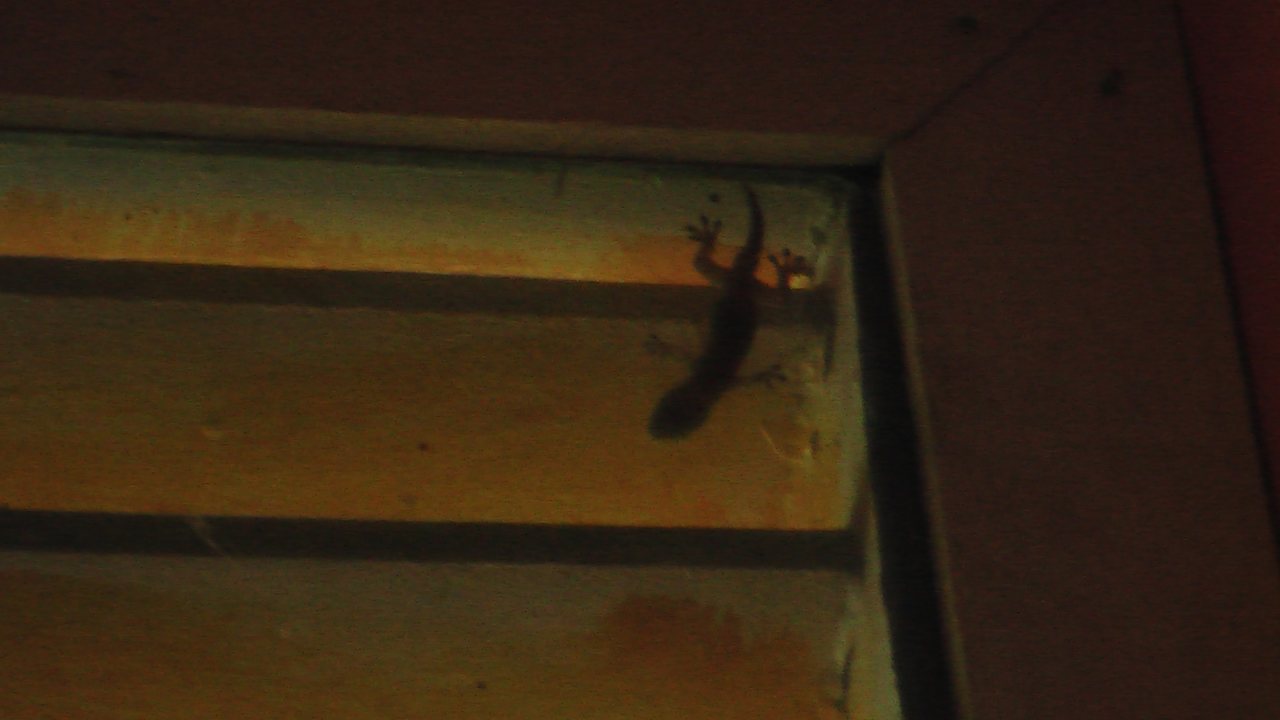 Zimmer Sunshine Guesthouse