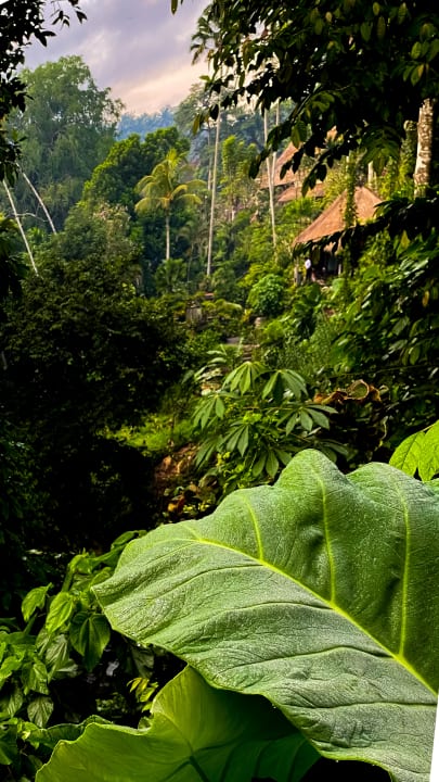 Gartenanlage Hotel Tjampuhan