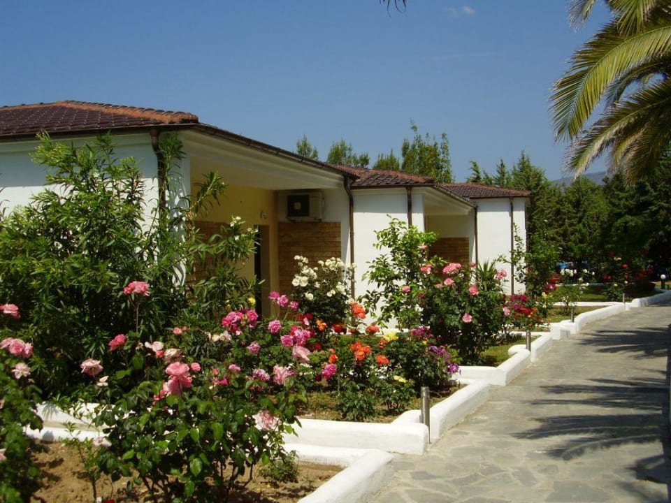 Blick auf die Bungalows mit den Suiten Alexandra Beach Thassos Spa Resort