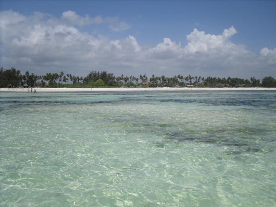 Das Meer bei Ebbe Neptune Village Beach Resort & Spa