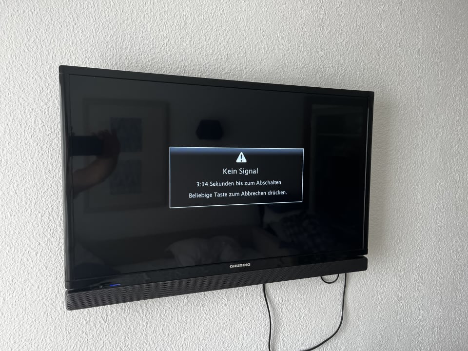 Zimmer blau punta reina