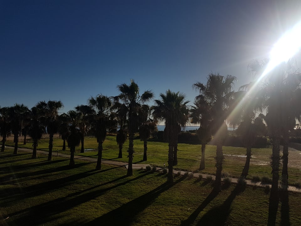 Ausblick Delfina Tropic Beach