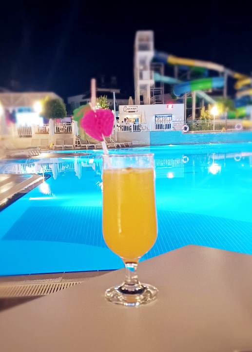 Gastro Seashell Vega