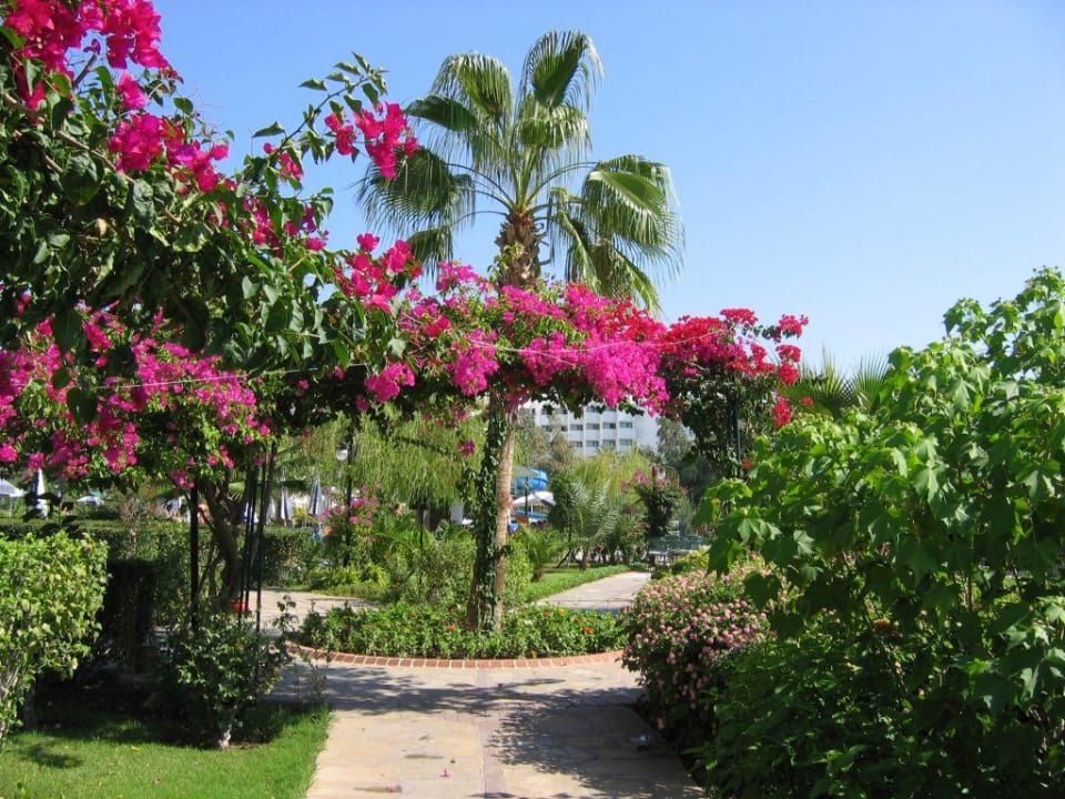 Gartenanlage Bella Resort & Spa