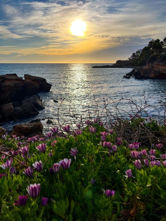 Ausblick Sentido Fido Punta del Mar – Adults only