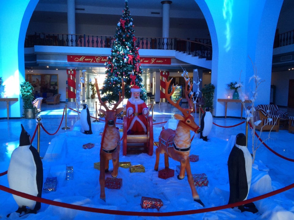 Weihnachten Deko Desert Rose