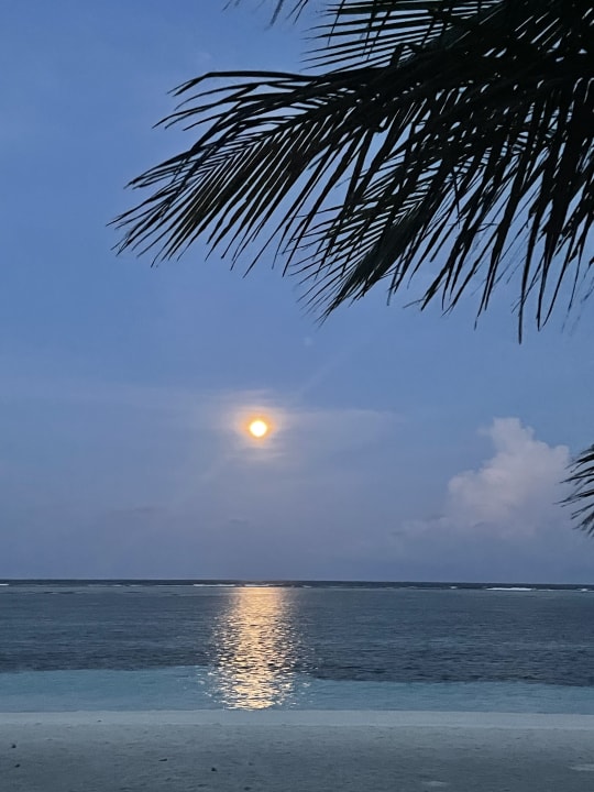 Strand Meeru Maldives Resort Island