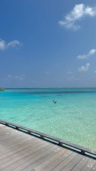 Strand Jawakara Islands Maldives