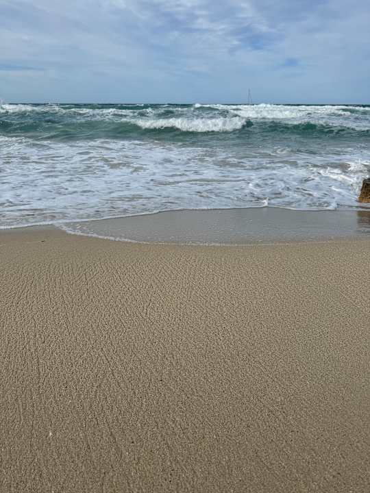 Strand Insotel Club Tarida Playa