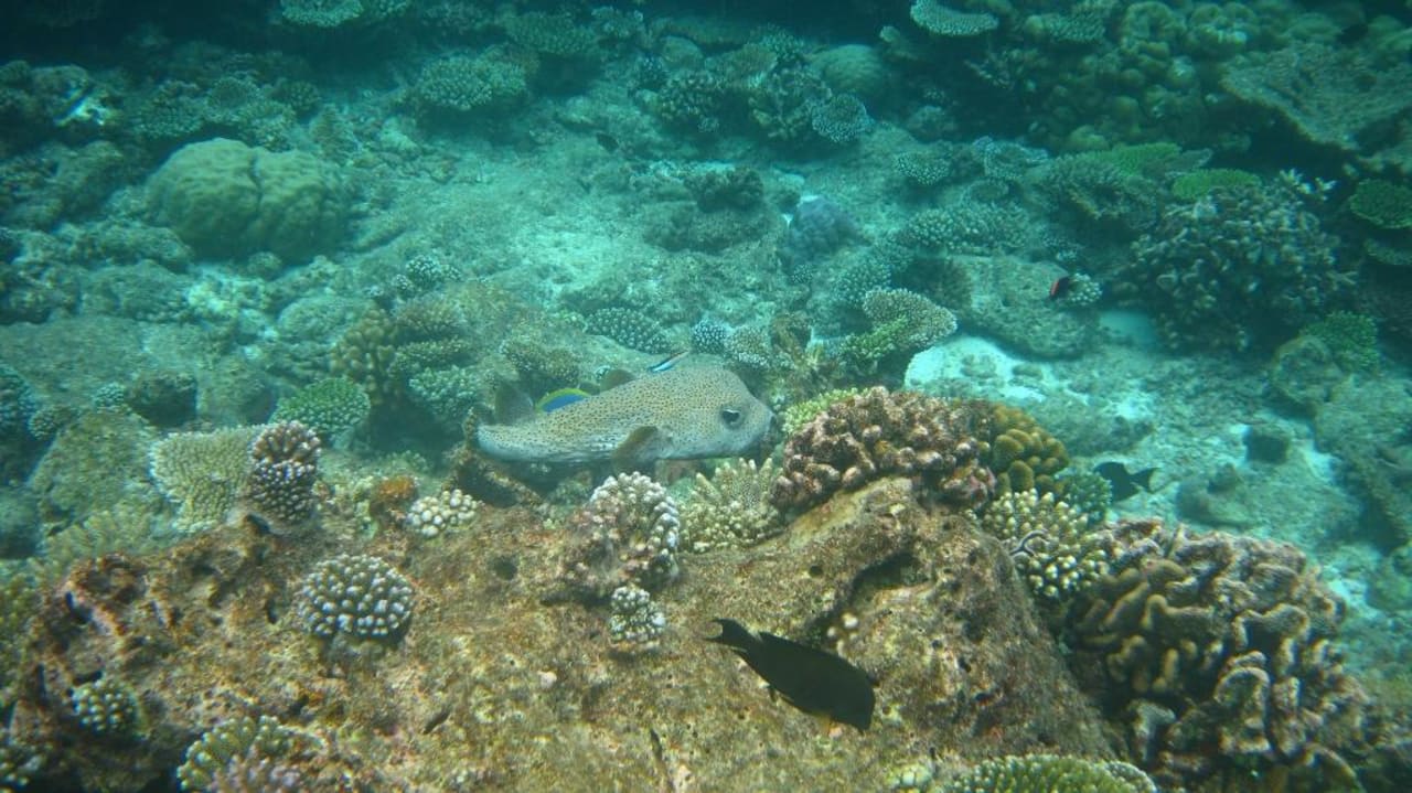 Riff Thulhagiri Island Resort Thulhagiri Island Resort