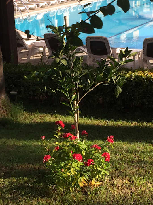 Aydinbey Kings Palace & Spa  Aydinbey Kings Palace & Spa