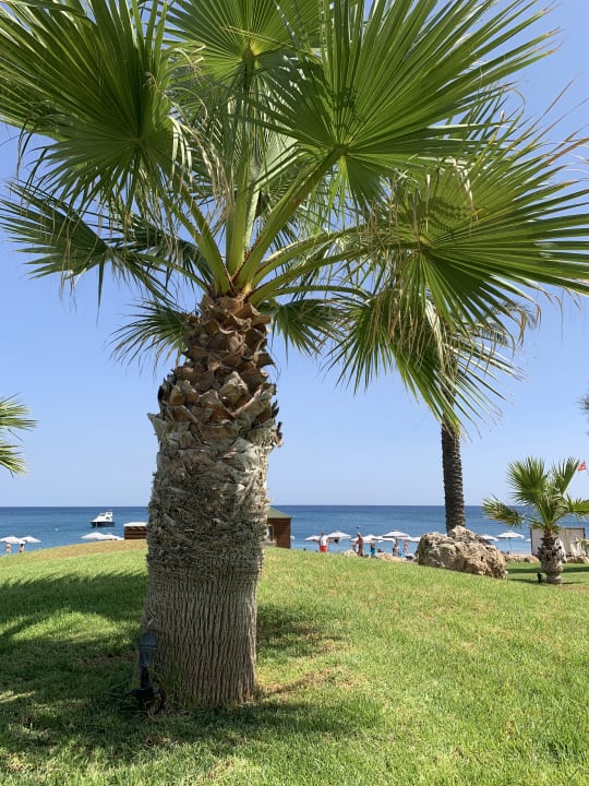 Gartenanlage Rodos Palladium Leisure & Wellness