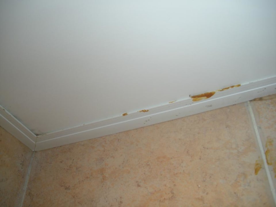 Decke vom Badezimmer  Punta Cana Princess All Suites Resort & Spa