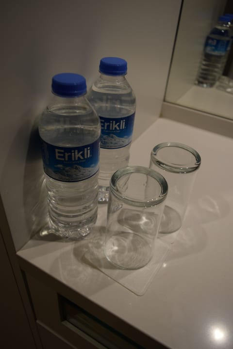 Zimmer Radisson Blu Hotel Kayseri