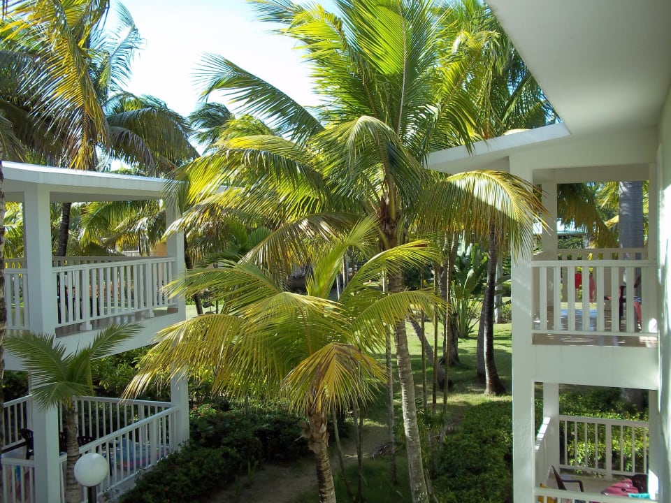 Blick vom Zimmer Playabachata Hotel