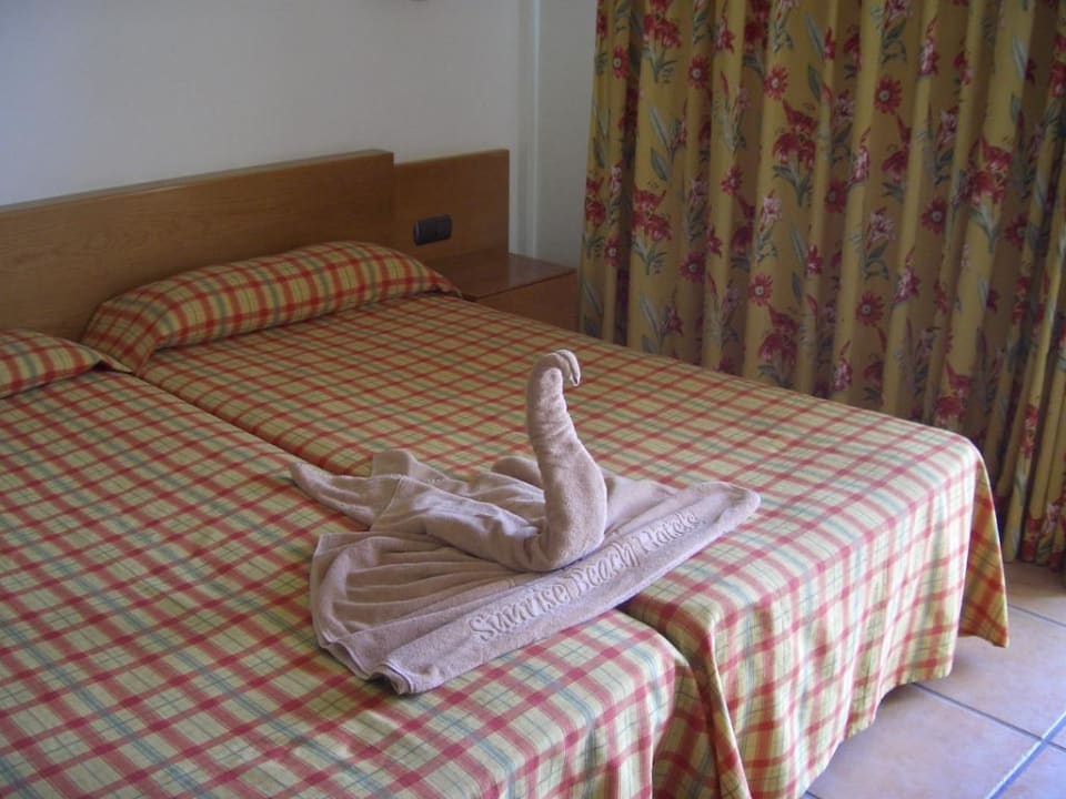 Schöne Kreaturen SBH Club Paraiso Playa