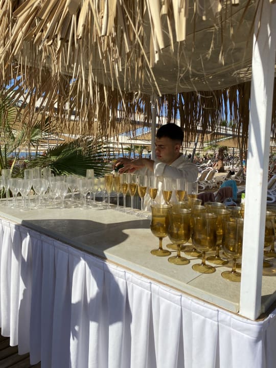 Gastro Royal Taj Mahal Hotel