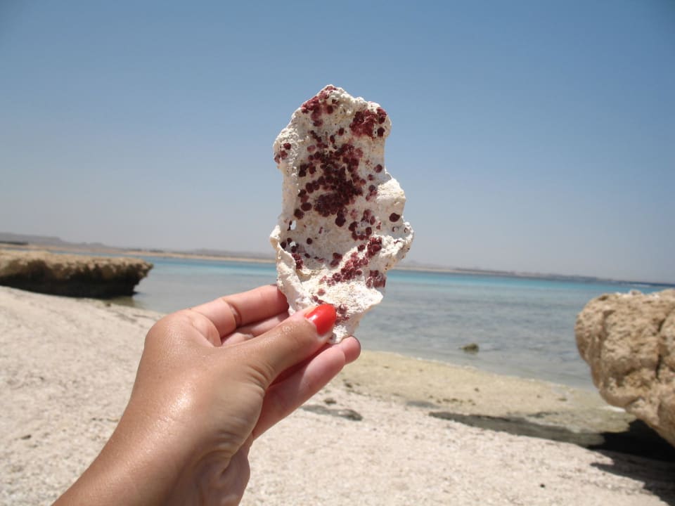 Na plaży Swisstouch Oriental Resort Marsa Alam