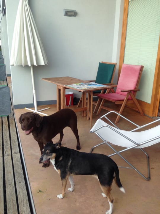 Eigene Terrasse mit Gärtchen Guesthouse Caselli Vigole al Sole